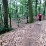 Mullerthal Trail Extra Tour B