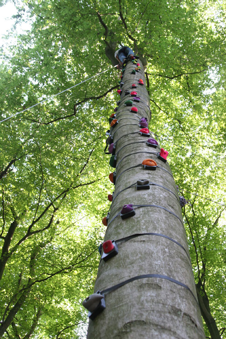 Klettergriffe mit Befestigungsgurt 3 Stück Baum jeden Baum zur Kletterwand 